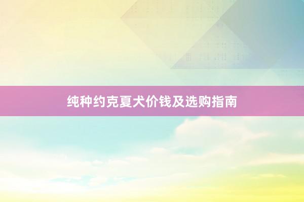 纯种约克夏犬价钱及选购指南